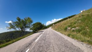 Eine malerische Landstraße schlängelt sich bergauf, ideal für geführte Motorradtouren, mit Bäumen auf der einen Seite und einem Hügel auf der anderen.