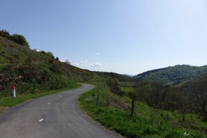 Eine malerische kurvenreiche Straße für geführte Motorradtouren führt unter einem klaren blauen Himmel durch üppige Hügel.