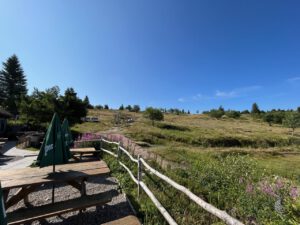 Malerischer Sitzbereich im Freien mit Picknicktischen, Sonnenschirmen und Blumen; perfekter Rastplatz für Motorradtouren.