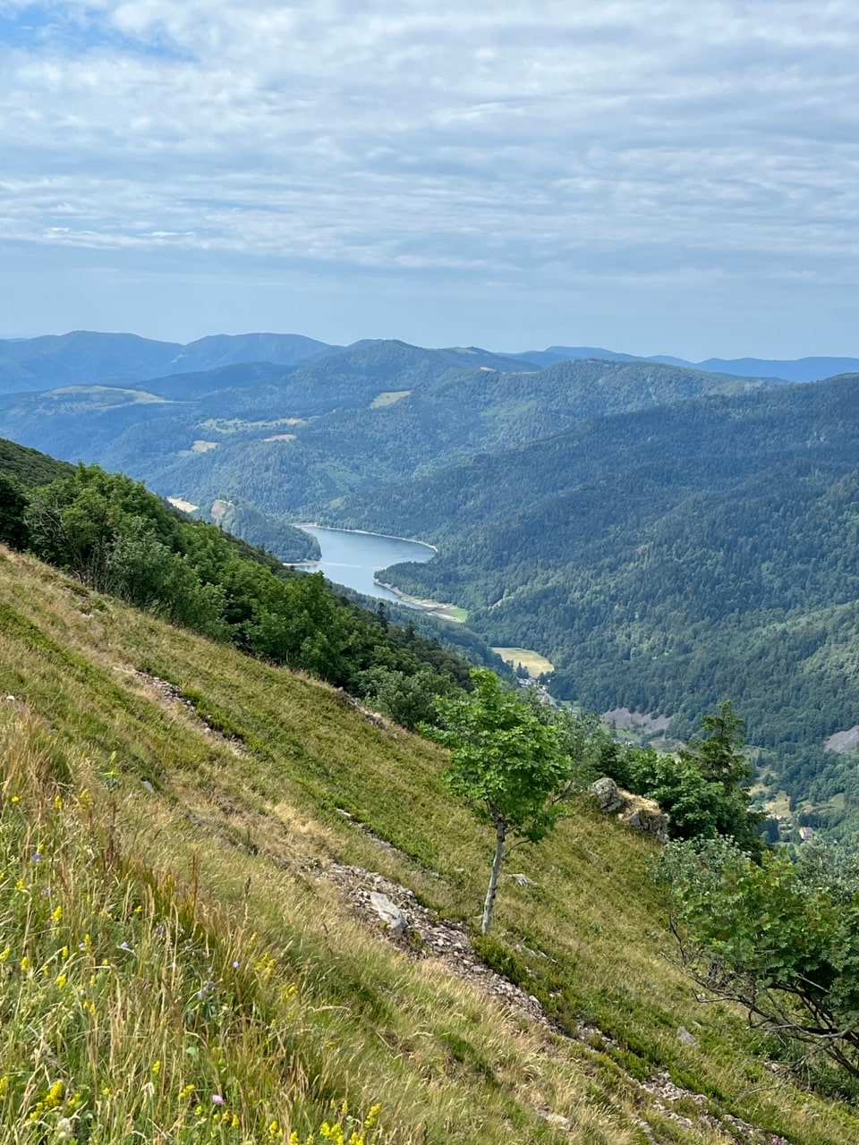 Vogesen Landschaft