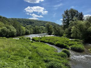 Eine ruhige Landschaft mit Fluss, saftigen Wiesen und Bäumen ist perfekt für geführte Motorradreisen.