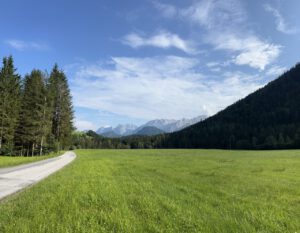 Malerische Wiese unter strahlendem Himmel, kurvenreiche Straße, ideal für geführte Motorradtouren inmitten atemberaubender Hügel.