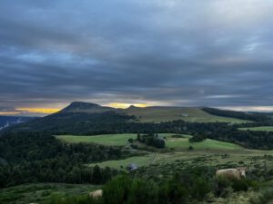 Bei Sonnenaufgang grasen Kühe in einem ruhigen Tal mit üppigen Hügeln – eine perfekte Kulisse für geführte Motorradtouren.