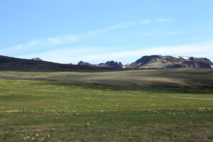 Eine weite grüne Wiese mit gelben Blumen führt zu den fernen Bergen, ideal für geführte Motorradtouren.