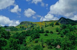 Erleben Sie unvergessliche geführte Motorradreisen durch lebendige Hügel, Wildblumen und charmante Cottages.