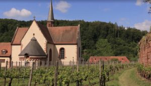 Eine Kirche mit cremefarbenen Wänden, einem roten Ziegeldach und einem Kirchturm steht inmitten von Weinbergen vor der Kulisse üppiger grüner Hügel.