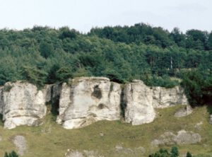 Felsformationen ragen aus einer grasbewachsenen Landschaft hervor, eingerahmt von dichten Bäumen und einem wolkigen Himmel.