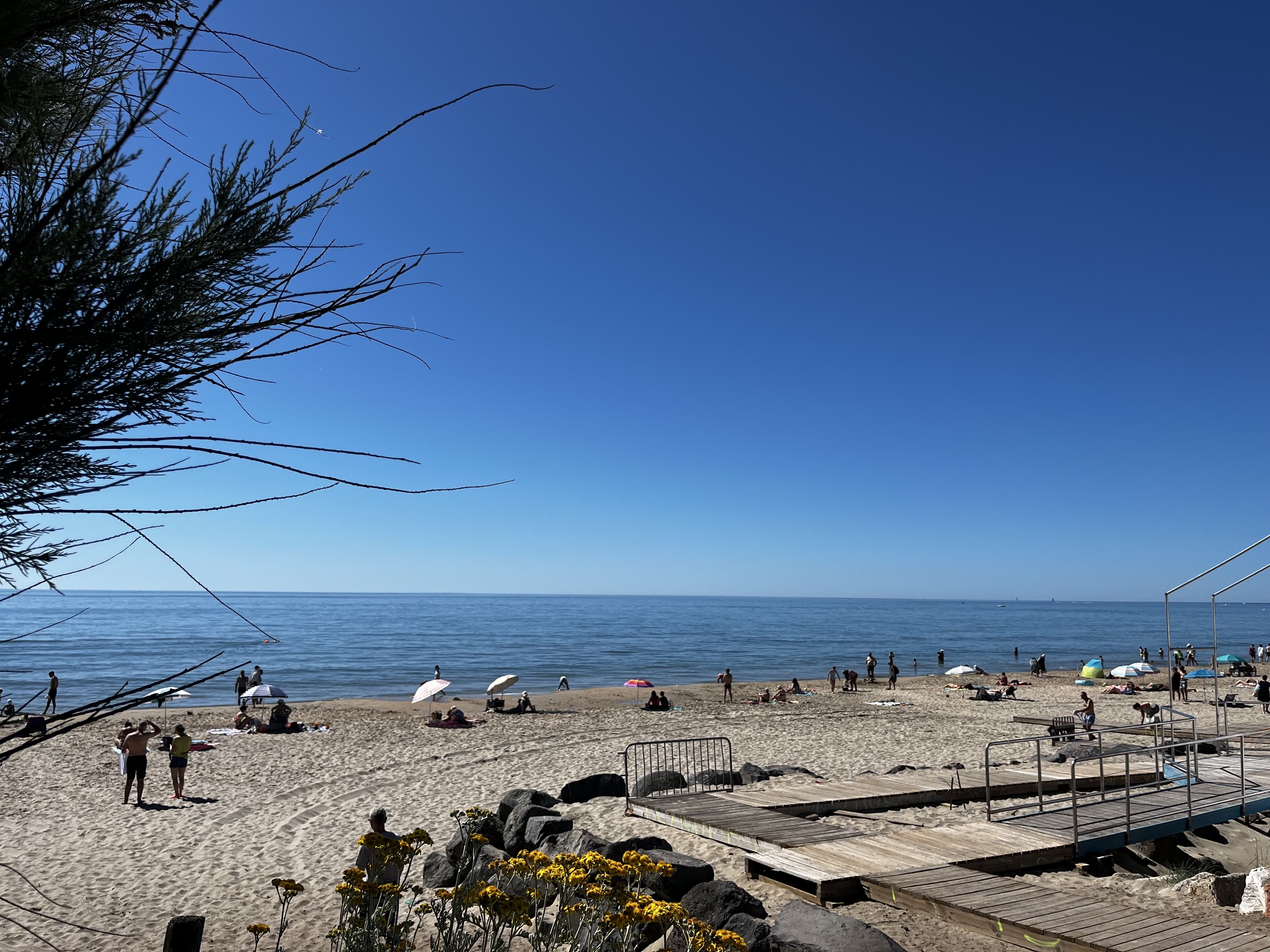 IMG_5801 An einem sonnigen Strand mit Blumen, ruhigem Meer, einer Promenade und blauem Himmel entspannen sich Menschen unter Sonnenschirmen.