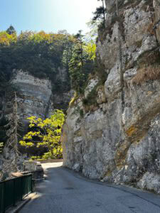 Eine kurvenreiche, schmale Straße schlängelt sich zwischen hoch aufragenden Felsklippen, die von üppig grünen Bäumen gekrönt sind, und einem klaren Himmel hindurch.