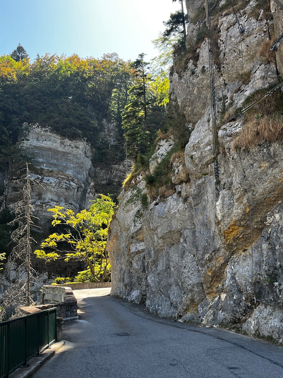 IMG_7690 Eine kurvenreiche, schmale Straße schlängelt sich zwischen hoch aufragenden Felsklippen, die von üppig grünen Bäumen gekrönt sind, und einem klaren Himmel hindurch.
